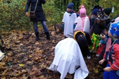 IMG_20201110_103526