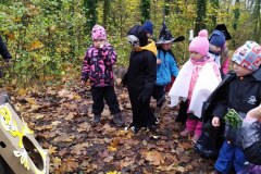 IMG_20201110_103536