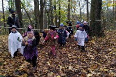IMG_20201110_105301