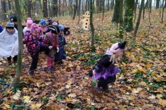 IMG_20201110_105309