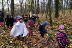 IMG_20201110_105315