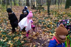 IMG_20201110_105328