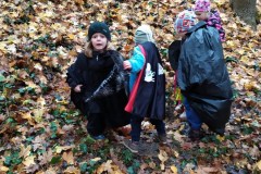 IMG_20201110_105528