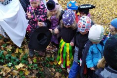 IMG_20201110_105537
