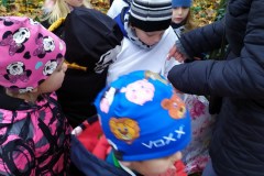 IMG_20201110_105659
