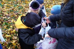 IMG_20201110_105710