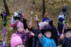 IMG_20201110_105816