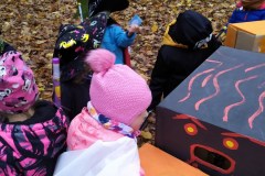 IMG_20201110_110213