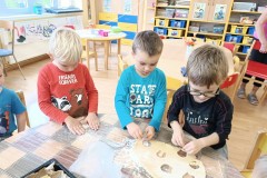 IMG_20231106_082959