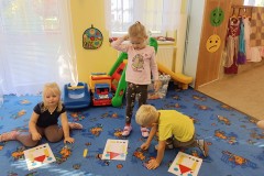 IMG_20231003_093510
