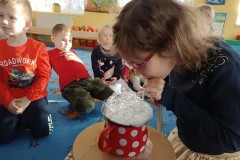 IMG_20230105_094556