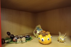 IMG_20231012_131545