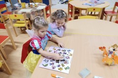 IMG_20241113_074709