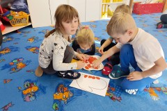 IMG_20241114_093508