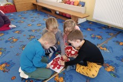 IMG_20241114_093522