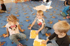 IMG_20241114_093530