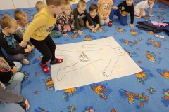 IMG_20241115_092538