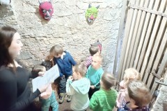 IMG_20231127_090724