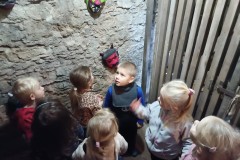 IMG_20231127_092809