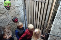 IMG_20231127_092845