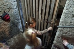 IMG_20231127_092911