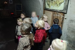 IMG_20231127_093245