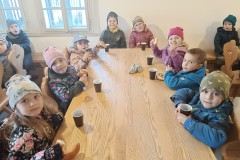 IMG_20250404_082608