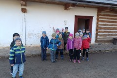 IMG_20250404_083653