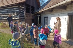 IMG_20250404_085110