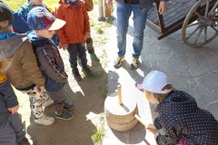 IMG_20230509_112300