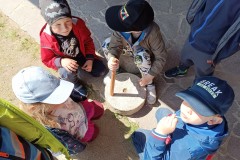 IMG_20230509_113638