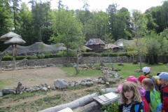 IMG_8060