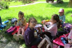 IMG_8086