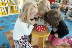 IMG_20240129_093656