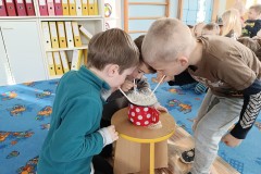 IMG_20240129_093744
