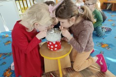 IMG_20240129_093826