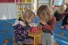 IMG_20240129_093930