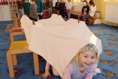 IMG_20240129_094108