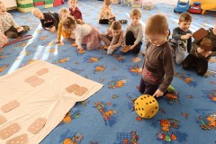 IMG_20230303_093146
