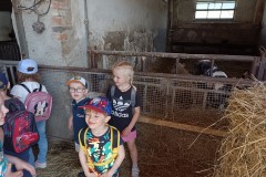 IMG_20230522_095305