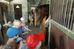 IMG_20230522_100458