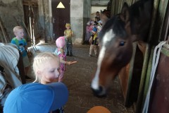 IMG_20230522_100528