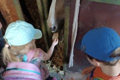 IMG_20230522_100829