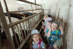 IMG_20230522_101242