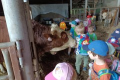 IMG_20230522_101518