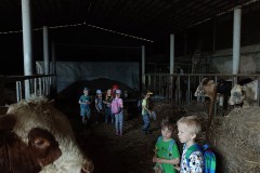 IMG_20230522_101542