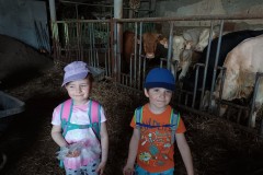 IMG_20230522_101619