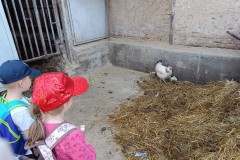 IMG_20230522_101957