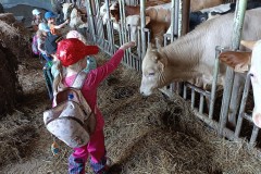 IMG_20230522_102059