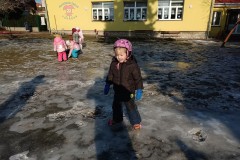 IMG_20260120_104703